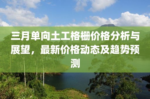 三月单向土工格栅价格分析与展望，最新价格动态及趋势预测
