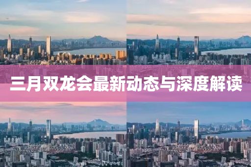 三月双龙会最新动态与深度解读