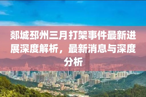 郯城邳州三月打架事件最新进展深度解析，最新消息与深度分析