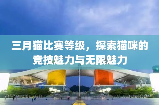 难深拥 第5页