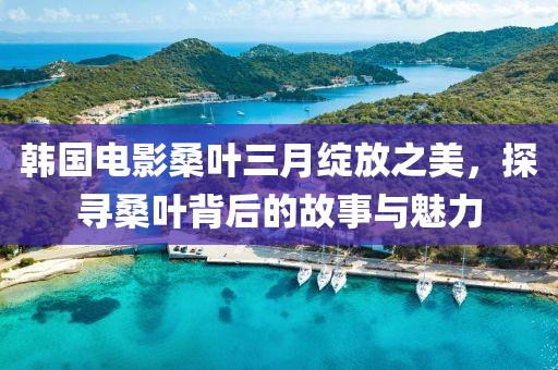 韩国电影桑叶三月绽放之美，探寻桑叶背后的故事与魅力