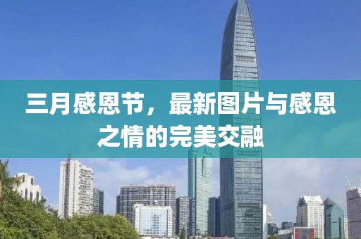 三月感恩节，最新图片与感恩之情的完美交融