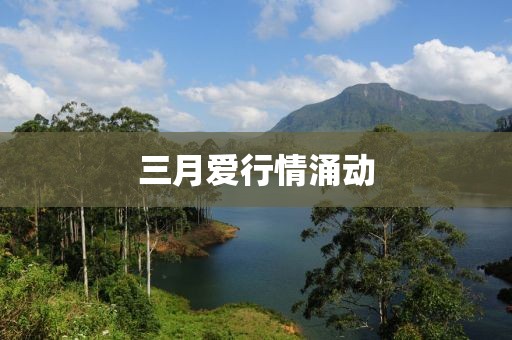 怀清冷 第6页