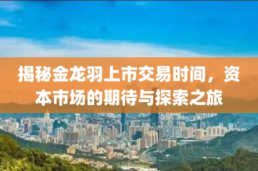 揭秘金龙羽上市交易时间，资本市场的期待与探索之旅