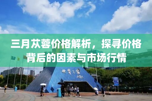 三月苁蓉价格解析，探寻价格背后的因素与市场行情
