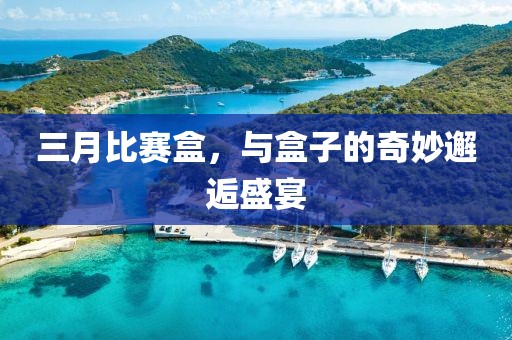 三月比赛盒，与盒子的奇妙邂逅盛宴