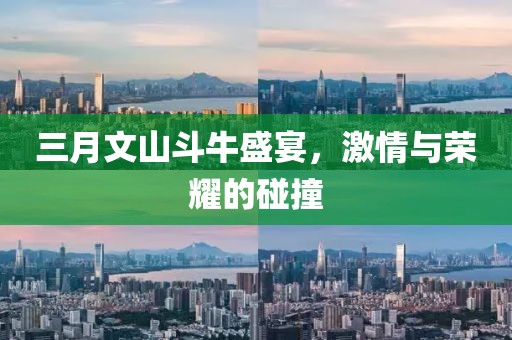 三月文山斗牛盛宴，激情与荣耀的碰撞