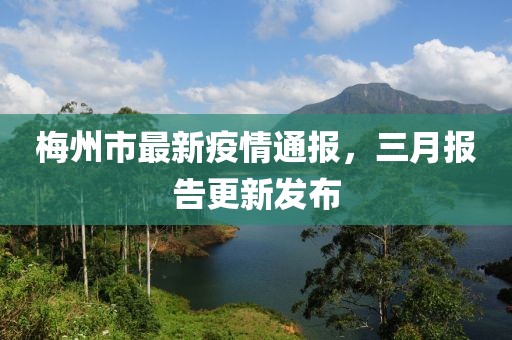 梅州市最新疫情通报，三月报告更新发布
