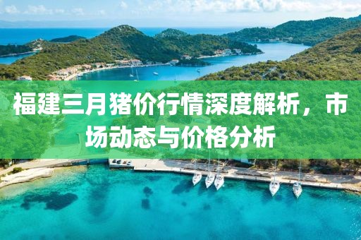 福建三月猪价行情深度解析，市场动态与价格分析