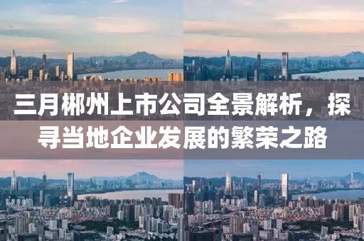 三月郴州上市公司全景解析，探寻当地企业发展的繁荣之路