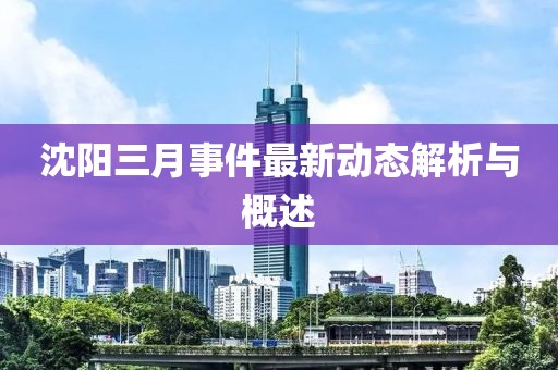 沈阳三月事件最新动态解析与概述