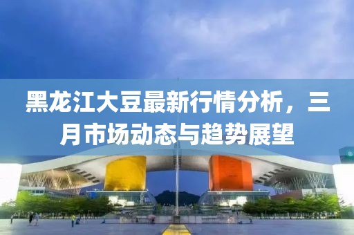 黑龙江大豆最新行情分析，三月市场动态与趋势展望