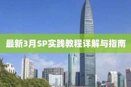最新3月SP实践教程详解与指南