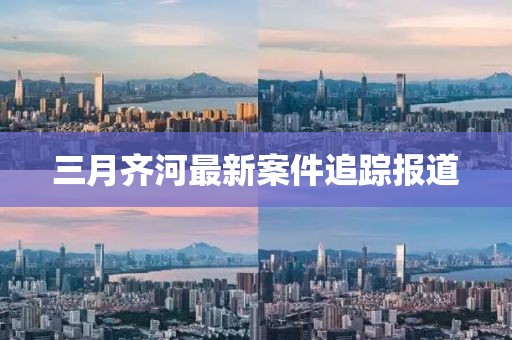 三月齐河最新案件追踪报道