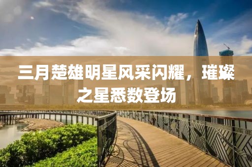 三月楚雄明星风采闪耀，璀璨之星悉数登场