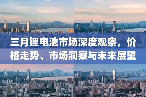 三月锂电池市场深度观察，价格走势、市场洞察与未来展望