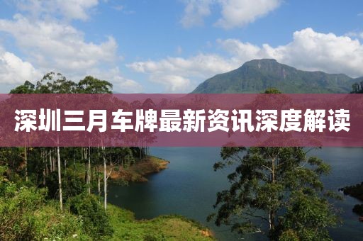 深圳三月车牌最新资讯深度解读