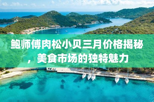 鲍师傅肉松小贝三月价格揭秘，美食市场的独特魅力