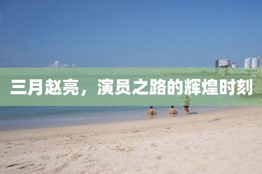 三月赵亮，演员之路的辉煌时刻