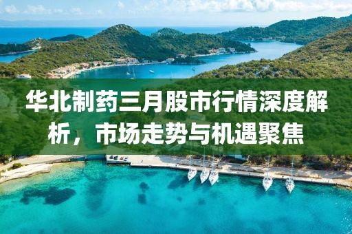 华北制药三月股市行情深度解析，市场走势与机遇聚焦