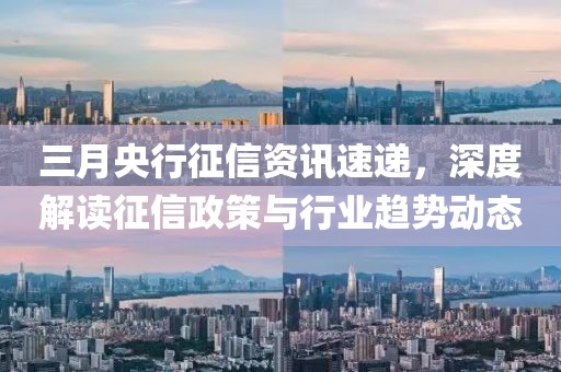 三月央行征信资讯速递，深度解读征信政策与行业趋势动态