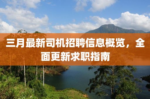 三月最新司机招聘信息概览，全面更新求职指南
