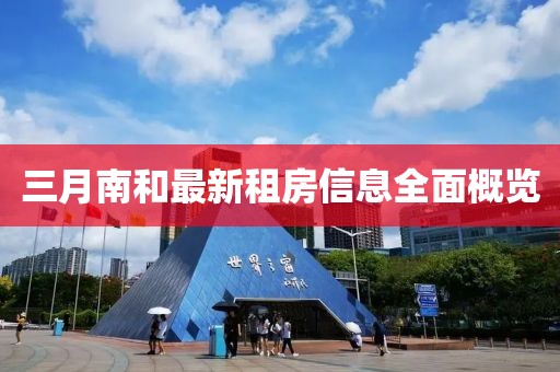 三月南和最新租房信息全面概览