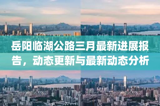 岳阳临湖公路三月最新进展报告，动态更新与最新动态分析