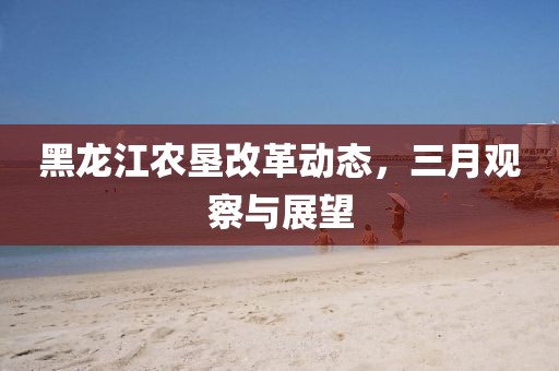 黑龙江农垦改革动态，三月观察与展望