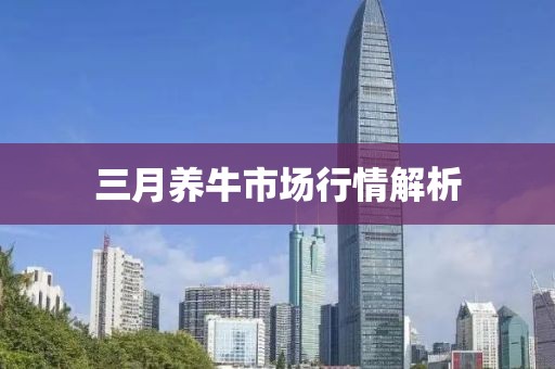 三月养牛市场行情解析