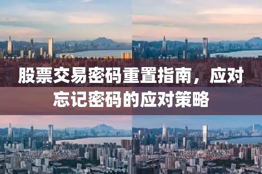股票交易密码重置指南，应对忘记密码的应对策略