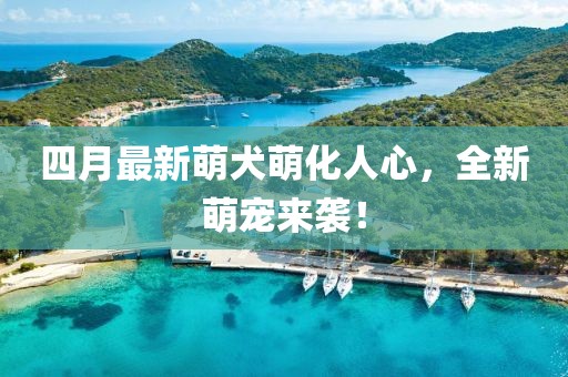 寄锦书 第5页