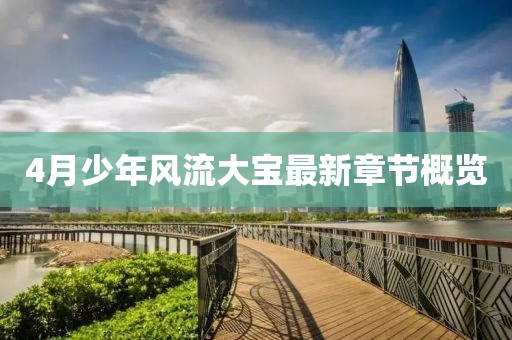4月少年风流大宝最新章节概览