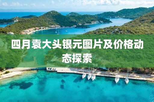 四月袁大头银元图片及价格动态探索