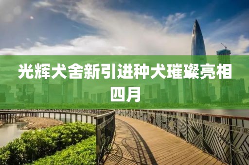 光辉犬舍新引进种犬璀璨亮相四月