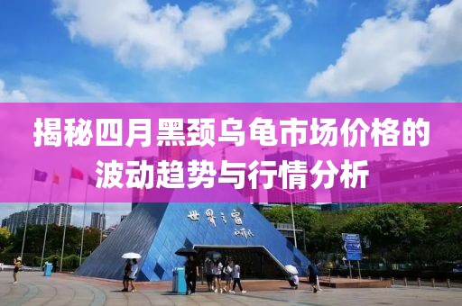揭秘四月黑颈乌龟市场价格的波动趋势与行情分析