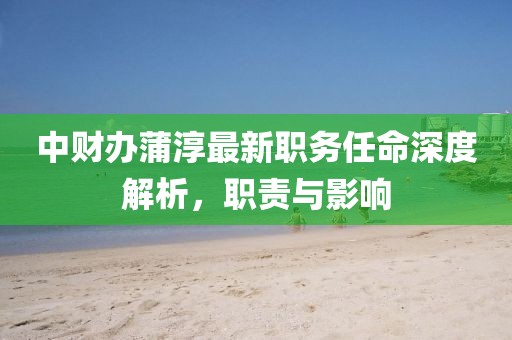 中财办蒲淳最新职务任命深度解析，职责与影响