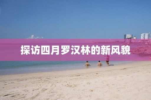 冰凝梦 第4页