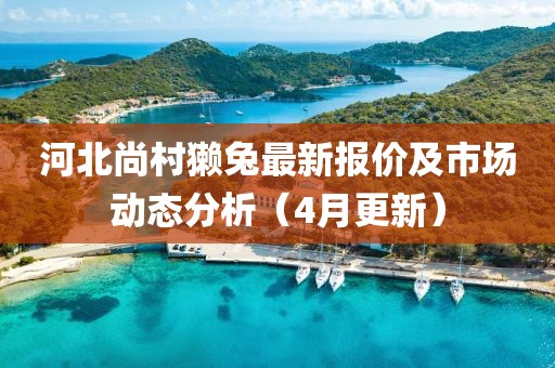 河北尚村獭兔最新报价及市场动态分析（4月更新）