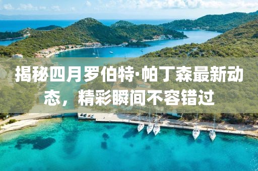 揭秘四月罗伯特·帕丁森最新动态，精彩瞬间不容错过