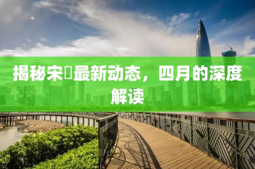 揭秘宋喆最新动态，四月的深度解读