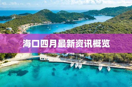 海口四月最新资讯概览