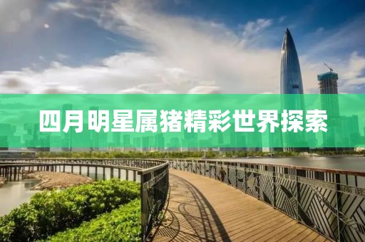 四月明星属猪精彩世界探索