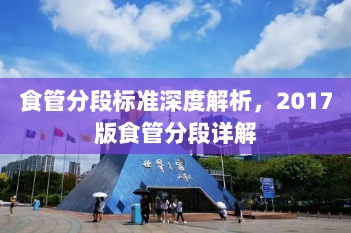 食管分段标准深度解析，2017版食管分段详解