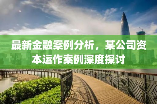 最新金融案例分析，某公司资本运作案例深度探讨