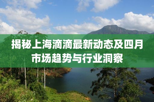 揭秘上海滴滴最新动态及四月市场趋势与行业洞察