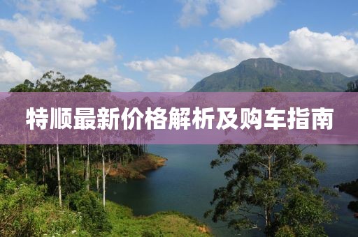 特顺最新价格解析及购车指南