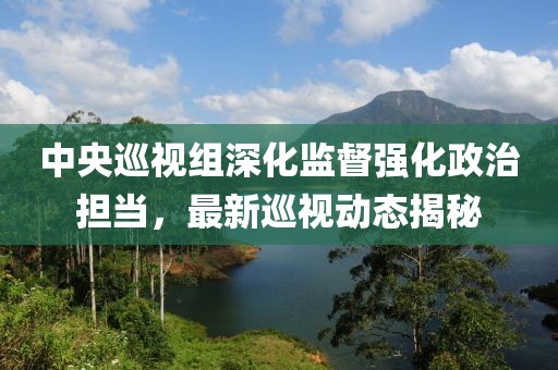 中央巡视组深化监督强化政治担当，最新巡视动态揭秘