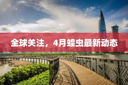 全球关注，4月蝗虫最新动态