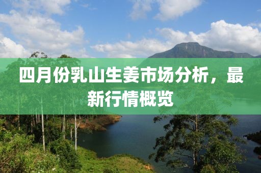 四月份乳山生姜市场分析，最新行情概览